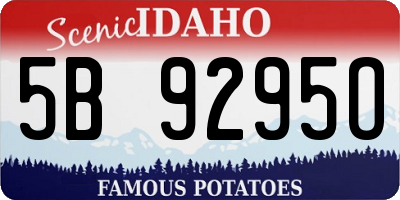 ID license plate 5B9295O