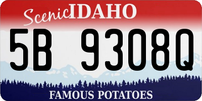 ID license plate 5B9308Q