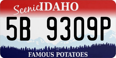 ID license plate 5B9309P