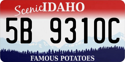 ID license plate 5B9310C