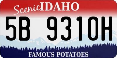 ID license plate 5B9310H