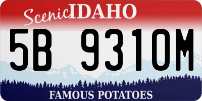 ID license plate 5B9310M