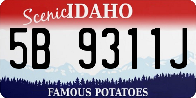 ID license plate 5B9311J