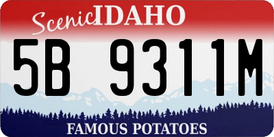 ID license plate 5B9311M