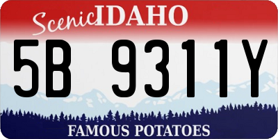 ID license plate 5B9311Y