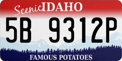 ID license plate 5B9312P