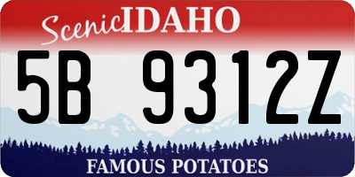 ID license plate 5B9312Z