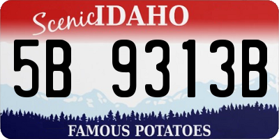 ID license plate 5B9313B