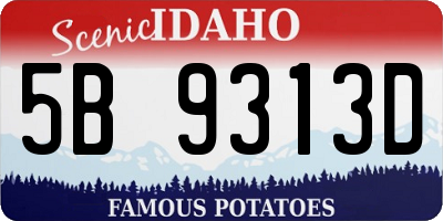 ID license plate 5B9313D