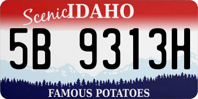 ID license plate 5B9313H