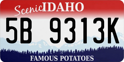 ID license plate 5B9313K