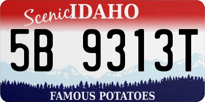 ID license plate 5B9313T