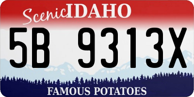 ID license plate 5B9313X