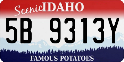 ID license plate 5B9313Y