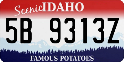 ID license plate 5B9313Z