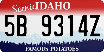ID license plate 5B9314Z