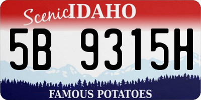 ID license plate 5B9315H