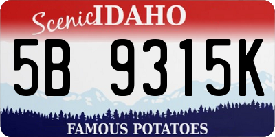ID license plate 5B9315K
