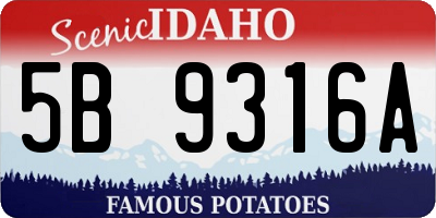ID license plate 5B9316A