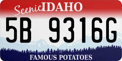 ID license plate 5B9316G