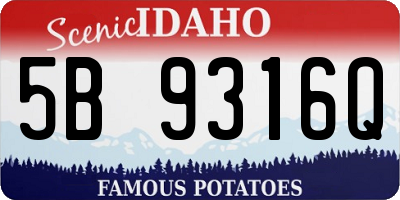 ID license plate 5B9316Q
