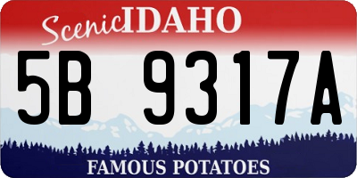 ID license plate 5B9317A