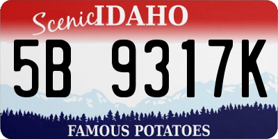 ID license plate 5B9317K