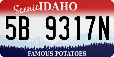 ID license plate 5B9317N