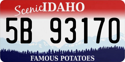ID license plate 5B9317O
