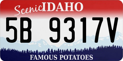 ID license plate 5B9317V