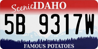 ID license plate 5B9317W