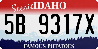 ID license plate 5B9317X