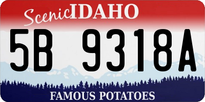 ID license plate 5B9318A