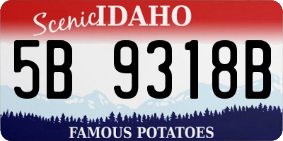 ID license plate 5B9318B
