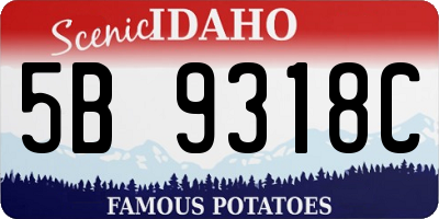 ID license plate 5B9318C