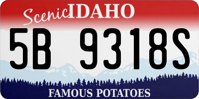 ID license plate 5B9318S