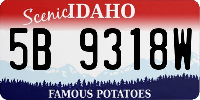 ID license plate 5B9318W