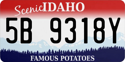 ID license plate 5B9318Y