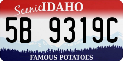 ID license plate 5B9319C