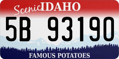 ID license plate 5B9319O
