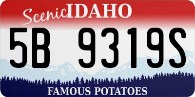 ID license plate 5B9319S