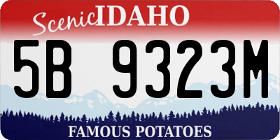 ID license plate 5B9323M
