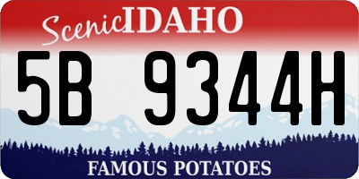 ID license plate 5B9344H