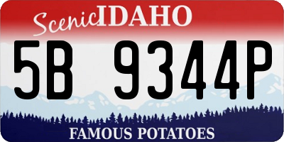 ID license plate 5B9344P