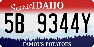ID license plate 5B9344Y