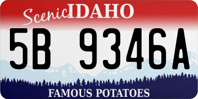 ID license plate 5B9346A