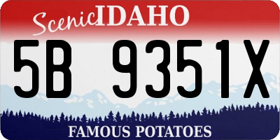 ID license plate 5B9351X