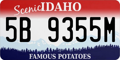 ID license plate 5B9355M