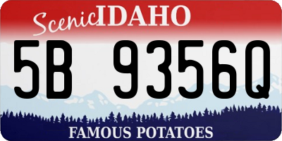 ID license plate 5B9356Q