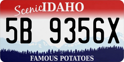 ID license plate 5B9356X